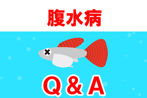 腹水病に関するFAQ