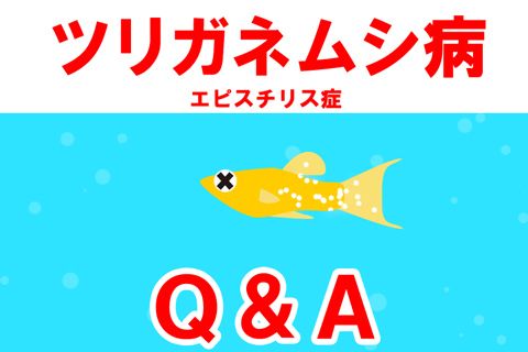 ツリガネムシ病に関するよくある質問