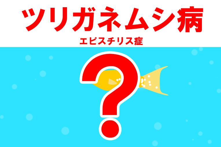 熱帯魚がツリガネムシ病になるとどうなる?症状は?