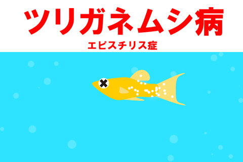 ツリガネムシ病を早期発見!?症状、治療法、予防法を解説!!