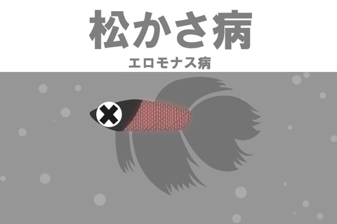 なぜ松かさ病になるの？原因は？