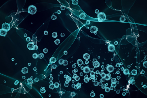 エロモナス菌は人にもうつるの？