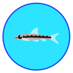 アルジーイーター