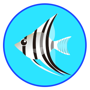 エンゼルフィッシュ