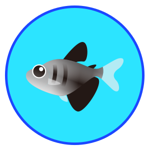 ブラックテトラ