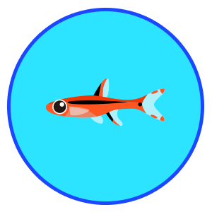 レッドフィンレッドノーズ