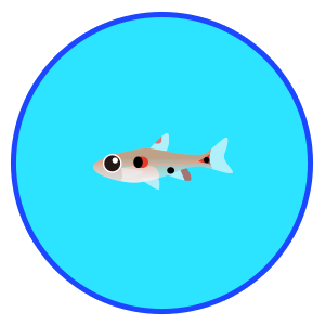 ボララス・ミクロス・レッド