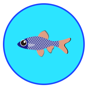 チェッカーバルブ