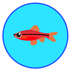 チェリーバルブ