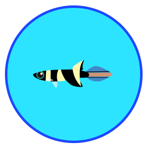 クラウンキリー