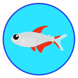 コロンビアレッドフィンテトラ