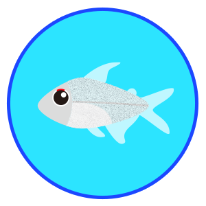 ダイヤモンドテトラ