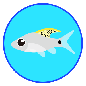 ドレイプフィン・バルブ