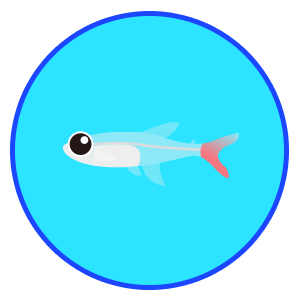 グラスブラッドフィン