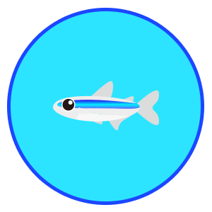 グリーンネオンテトラ