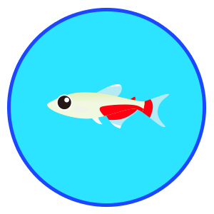 グリーンファイヤーテトラ