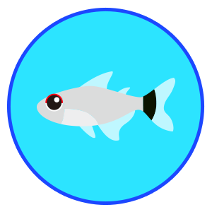 モンクホーシャ