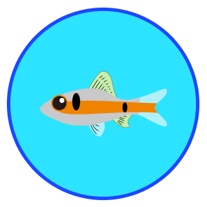 オデッサバルブ