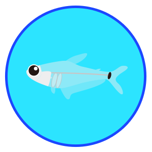 ペルーグラステトラ