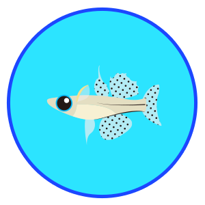 バタフライ・レインボー