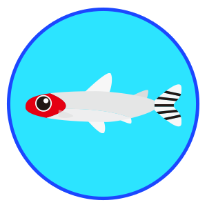 ラミノーズテトラ