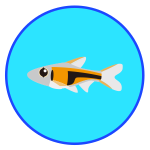 ラスボラ・エスペイ