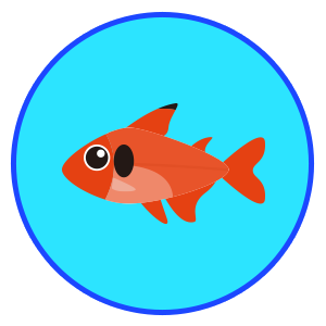 レッドファントムテトラ