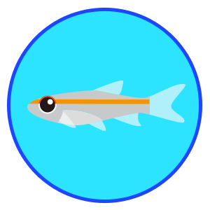 レッドライン・ラスボラ