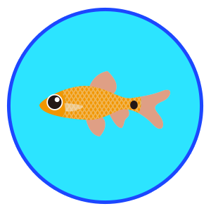 ロージーバルブ