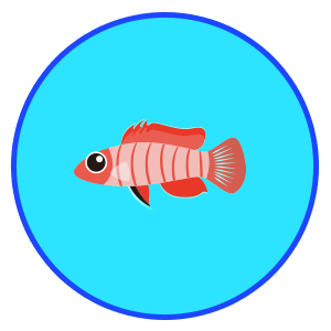 スカーレット・ジェム