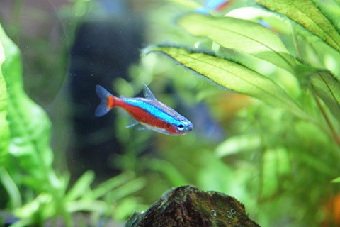 準備をしっかりして病気予防？