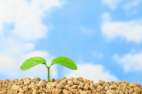 水草が育つには光合成が重要