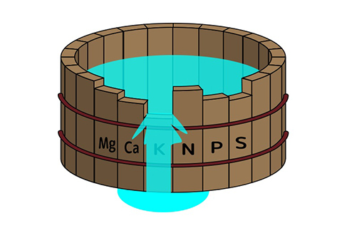 リービッヒの最小律