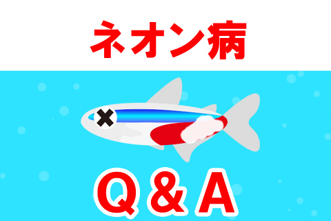 ネオン病に関するよくある質問