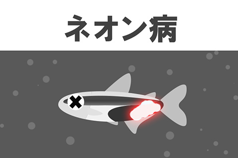 ネオン病の原因は？