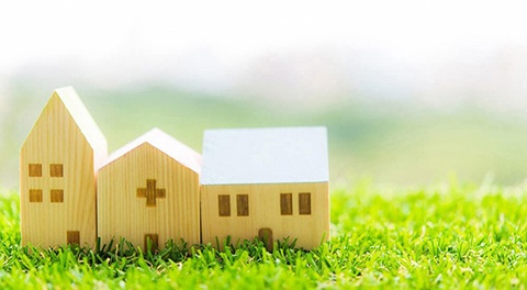 熱帯魚の怪我の治療