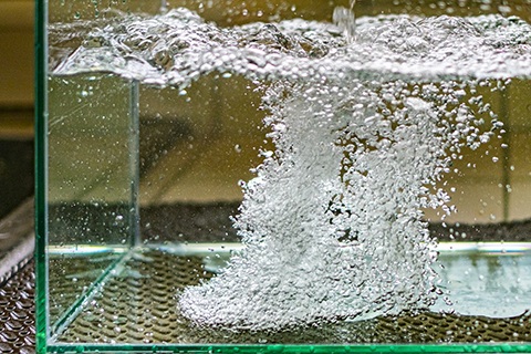 水質悪化の原因