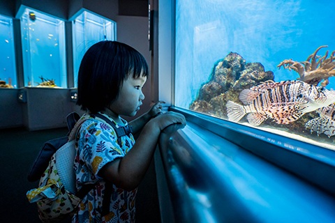 水槽の状態でわかる水質悪化のサイン・目安