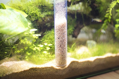 水質が悪化してしまった場合の水質改善方法