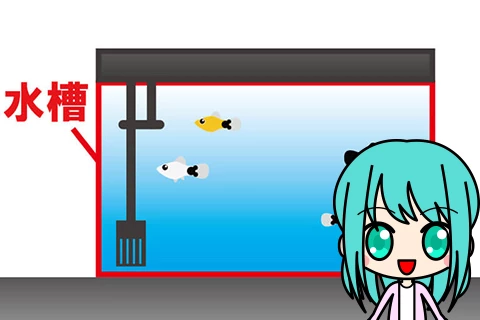 水槽の種類とサイズ・初心者におすすめは？
