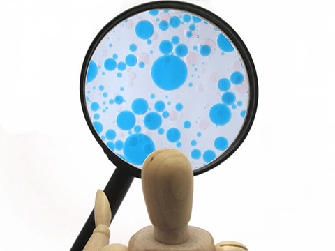 バクテリアの種類