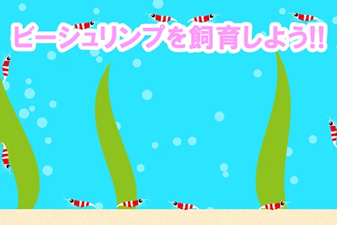 ビーシュリンプを飼育しよう!!