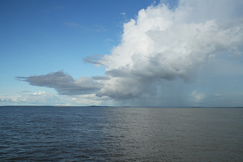 ブラックウォーターの効果