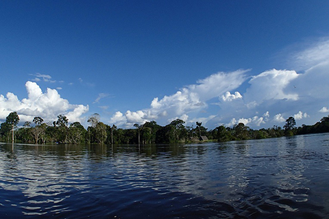 ブラックウォーターの正体は？