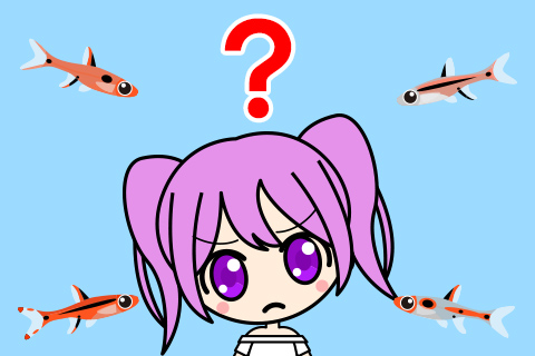	実はそっりくな熱帯魚がいる？