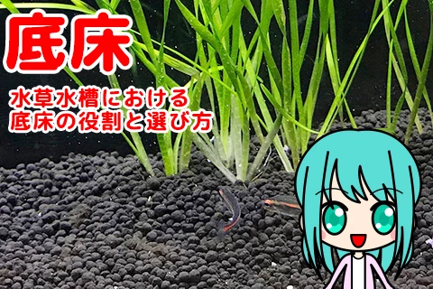【重要】水草水槽における底床の役割と選び方