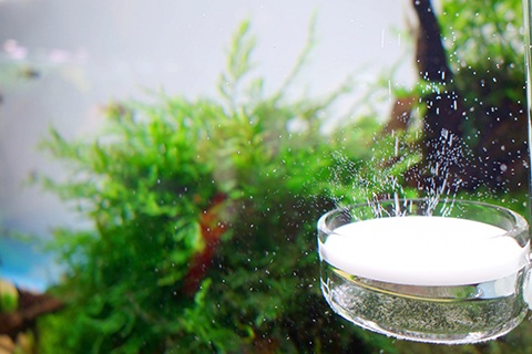 CO2を添加する目的