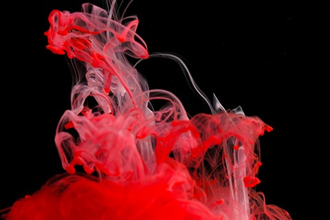 熱帯魚が病気になりやすい水槽とは？