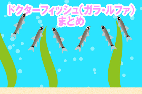 ガラ・ルファのまとめ