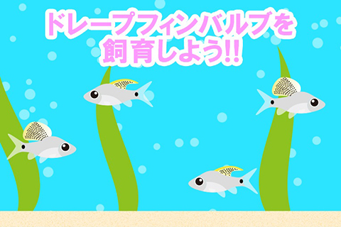 熱帯魚の病気 初めての熱帯魚